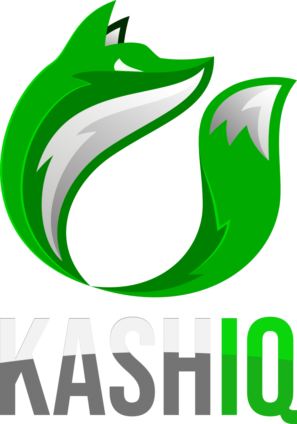 KashIQ Logo